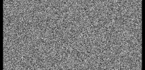 forked from: Noise (1)